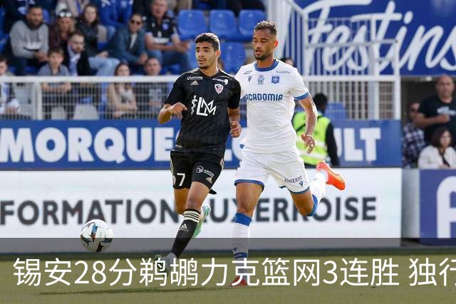 锡安28分鹈鹕力克篮网3连胜 独行侠险胜马刺
